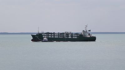 Live export ship Nine Eagle leaves Darwin with cattle two weeks after major engine failure