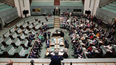 Indigenous Voice to Parliament referendum bill passes lower house