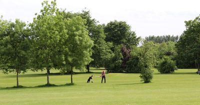 Bowring is the hidden gem perfect for summer activities