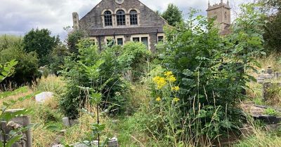 Overgrown graveyard in Kingswood 'resembles a jungle' says upset visitor
