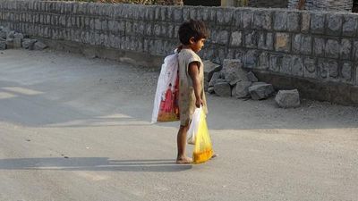 Anti-poverty schemes may help poor children’s brains grow normally