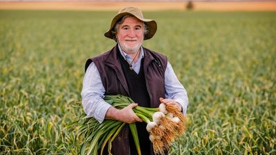 Australian garlic variety can limit internal spread of COVID and influenza A, Doherty Institute finds