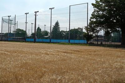 Japanese knuckleball pitcher Eri Yoshida plays on her own 'Field of Dreams'