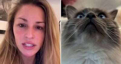 Zara McDermott terrified and frantic after beloved cats go missing