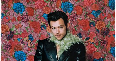 Irish shops facing feather boa shortage in run up to Harry Styles gig