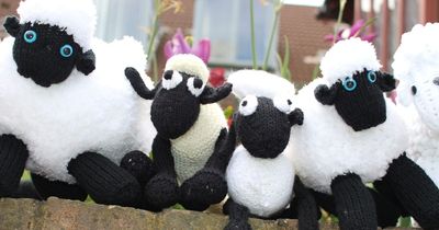 Gosforth hospice to sell knitted Shaun the Sheep toys after being 'inundated' by supporters