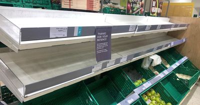 Waitrose apologises as shoppers find shelves empty