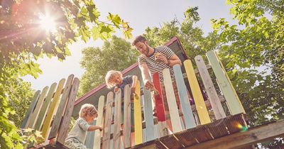 'Neighbour demands I build her kids a treehouse in my garden as it'll ruin hers'