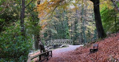 Major changes planned for Gnoll Estate Country Park in Neath