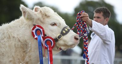 Alyth Show looks set to go ahead this year after COVID break