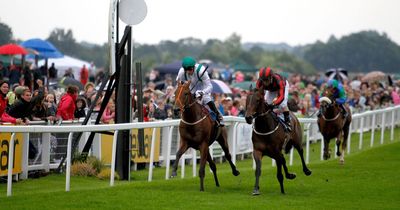 Newsboy’s horseracing tips for Thursday’s five meetings, including Ripon Nap