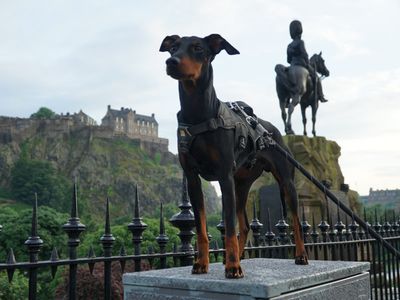 Best dog-friendly hotels in Scotland 2023, from beach getaways to Highland retreats