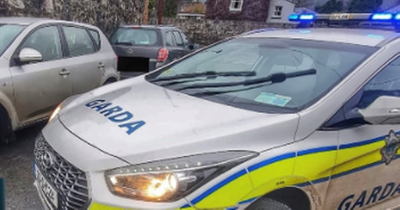Dublin road carnage as dramatic car chase and collision spree ends with gardai making arrests