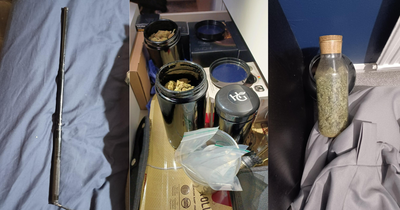 Illegal weapon and jars filled with cannabis stashed across Nottingham house