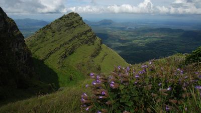 Biodiversity is us and we are biodiversity