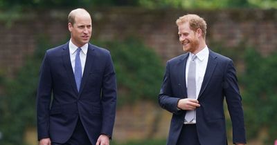 Prince William's incredible advice to Harry amid mental health and booze struggles