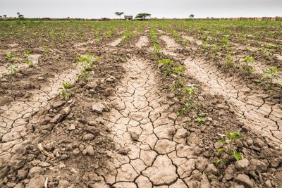 Climate change could become a major inflation driver in the next decade