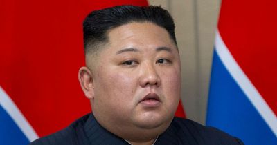 Kim Jong Un 'suffering from insomnia, weighs over 20st and is dependant on alcohol'