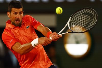 Novak Djokovic keeps focus on court to see off Marton Fucsovics at French Open