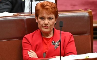 Pauline Hanson denies Pakistan tweet was ‘racist’