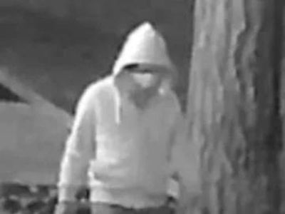 Marjorie Taylor Greene cryptically says the FBI knows who mystery Capitol pipe bomber is