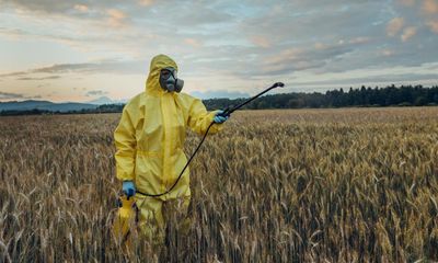 Pesticide firms withheld brain toxicity studies from EU regulators, study finds