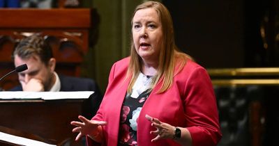 'Cat meow': Labor's Jenny Aitchison says she heard sound from opposition bench