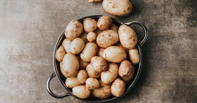 Chips with rice and sliced spuds in a sandwich are weirdest ways Brits eat potatoes