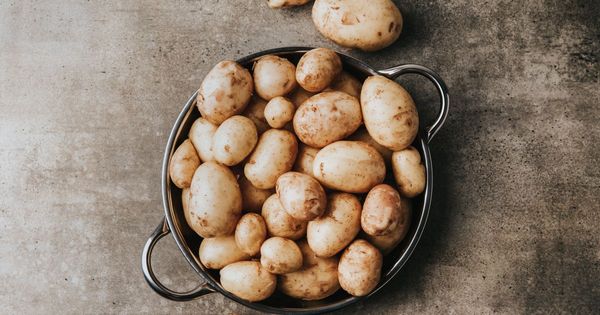 Best electric potato mashers for effortless lump-free…