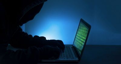 Gangsters moving away from robberies and into 'less risky' online frauds, gardaí warn