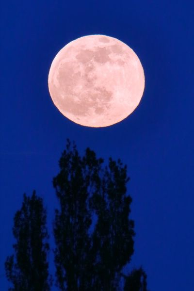 You Need to See the Strawberry Moon in the Sky This Weekend