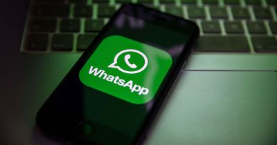WhatsApp rolls out new feature to fix 'any message mistakes' this week