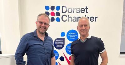 Dorset Chamber appoints new third sector director to board