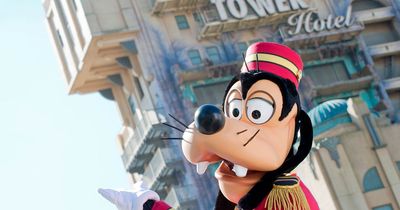 Disneyland Paris issues warning of 'disruption or even cancellation' to tourists visiting this weekend