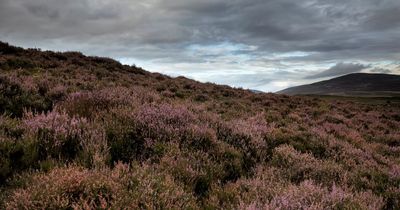 The ghosts in Scotland that 'emerge in June' including phantom piper and hounds