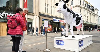 The reason why a life-size cow has appeared in Newcastle city centre