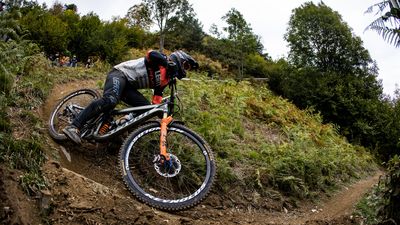 Has Reynolds reinvented the wheel with its new 307 and 309 downhill and enduro models?