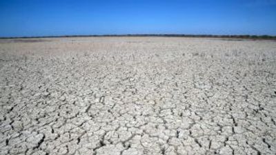 The politics of drought: new crisis facing the EU