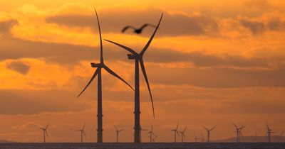 Offshore wind firm announces 500 new jobs in Ireland