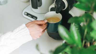 Are coffee makers toxic? Medical and manufacturer advice