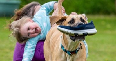 Dog with a very cheeky habit named UK's 'most mischievous pet'