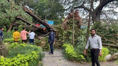 Rain havoc: Brindavan Gardens may reopen on June 2