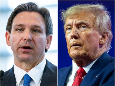 DeSantis says ‘petty and juvenile’ Trump can thank his own behaviour for 2020 loss