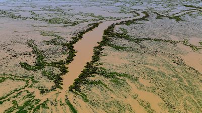 Consultation to begin on future of Queensland's fragile Lake Eyre Basin