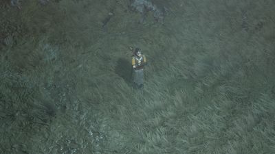 Diablo 4: How to use emotes