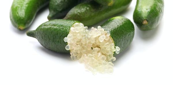 Native raspberries, limes and geraniums: how did these curious plants end up in Australia?