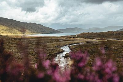 MSP bids to limit how much Scottish land a single person can own