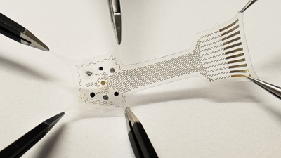 Explained | A new ‘smart bandage’ raises the bar for treating chronic wounds