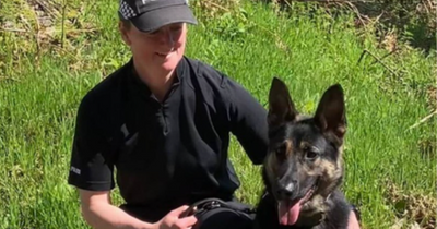 Hero police dog helps trace missing West Lothian pensioner with dementia