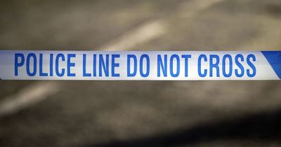 Police investigation after man and woman found dead in shed
